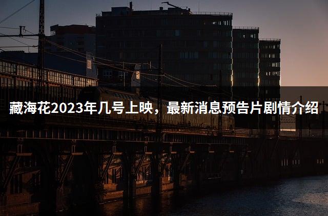 藏海花2023年几号上映，最新消息预告片剧情介绍-1