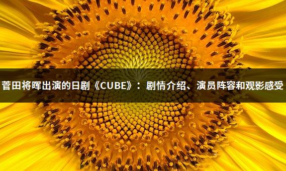 菅田将晖出演的日剧《CUBE》：剧情介绍、演员阵容和观影感受-1